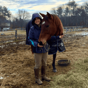 Animal Healing