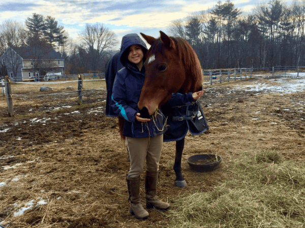 Animal Healing